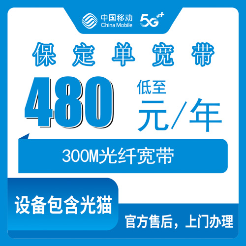 2026年10月保定市移动单宽带小白怎么选宽带?