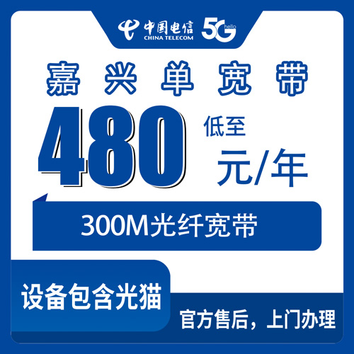 2026年10月26日浙江省嘉兴平湖市电信单宽带300M一年480元，装之前这几件事先弄明白
