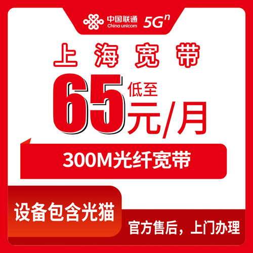 2026年10月28日上海市浦东新区联通融合宽带300M怎么样？65元一个月的真实体验和踩坑记录