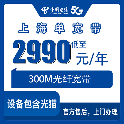 2026年10月上海徐汇区电信300M单宽带2990包年，这价格到底值不值？